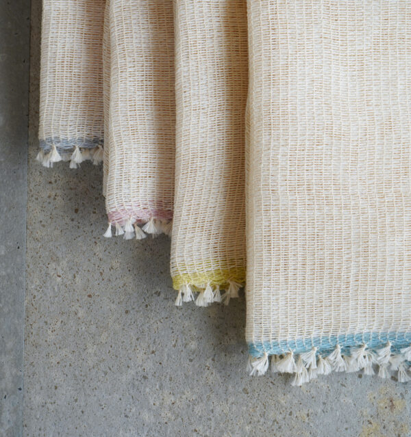 WEB限定　WASHI WASH ワシウォッシュ画像